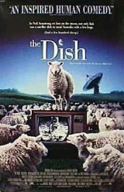 the dish